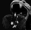 Fantasy Art Photo Shoots