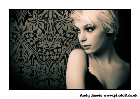 Penny- Kent Fashion Lingerie Model 